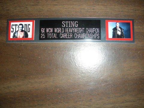 STING (WCW) NAMEPLATE FOR SIGNED TRUNKS DISPLAY/PHOTO/PLAQUE Cover