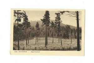 2619- Wettstein -Jägerfriedhof - Bild 1 von 2