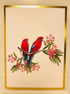 Origami Pop Cards LUXURY Gold Crimson Rosella Greeting Card Birthday Australia