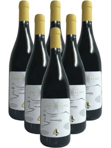 Vino Bianco DOP Falanghina Campi Flegrei x 6 bottiglie 75cl - Foto 1 di 5