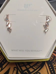 Bomb Party Earrings RBP 5753 "She's Got the Look" Aquamarine CZ Rose Gold Plated - Picture 1 of 3