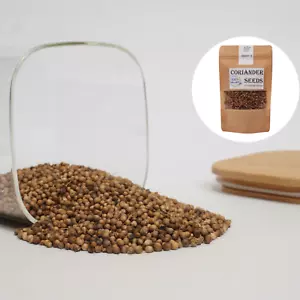 Coriander Seeds | Coriandrum sativum - Picture 1 of 5