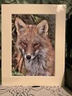 LOVELY FOX PRINT MOUNTED READY TO FRAME