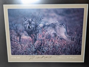Thomas Mangelsen "LET IT BE WOLF" Print 8 1/2" By 11" Signed Limited #1 of 2003 - Picture 1 of 8