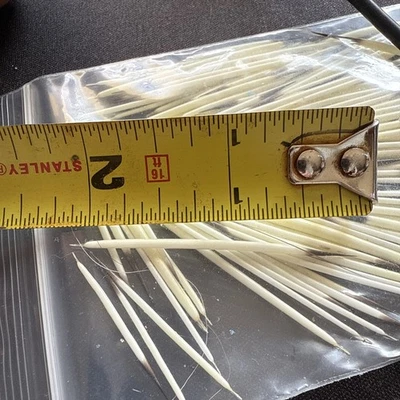 North American Porcupine Quills,   10 bags.  100 or more quills per bag          - Image 1 of 4