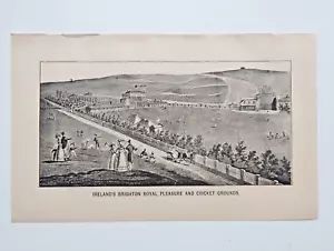 Ireland's Royal Pleasure and Cricket Grounds, Brighton - Antique Print - 1892 - Picture 1 of 1