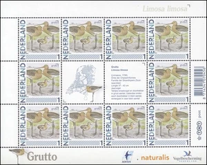 2829 Mi marca 2011 - Pájaros nieve de orilla Grutto limosa limosa, arco pequeño ** - Imagen 1 de 1