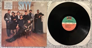 Skyy – Start Of A Romance ; 1989 LP SHRINK N/MINT (SAME DAY SHIPPING) - Imagen 1 de 4