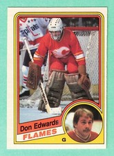 (1) DON EDWARDS  1984-85 O-PEE-CHEE  # 222 FLAMES GOALIE EX-MT CARD (I1967)