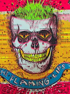 Tool & The Flaming Lips Spring Tour 1994 First Edition Rare Poster Wayne Coyne - Picture 1 of 8