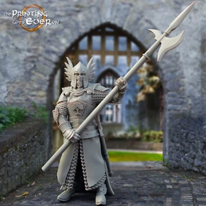 Whitecastle King's Guard B | Print Goes Ever On | RPG Wargaming 3D Printed MESBG - Picture 1 of 1
