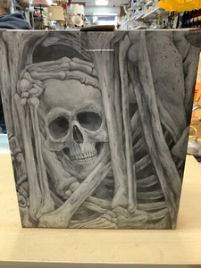 the skull collection mirror - length 9”x7”x3” - new & never opened or used - Picture 1 of 17