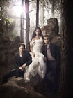 The Vampire Diaries Movie Poster A4 Size