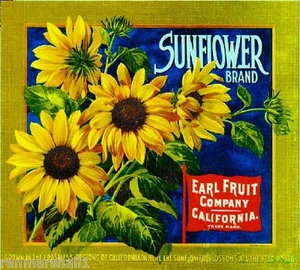 Los Angeles Sunflower Flowers #2 Orange Citrus Fruit Crate Label Art Print - Picture 1 of 1