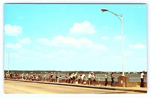 Postal de colección Maryland, saludos desde Ocean City, Ocean City, M.D. c1960 - Imagen 1 de 3