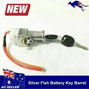 Silver Fish Battery Key Barrel Lock Ebike battery Replacement parts W' Two Keys - Picture 1 of 10