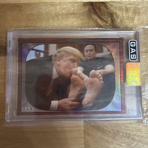 Tarjeta coleccionable GAS 2025 lámina arco iris Donald Trump y Elon Musk Hud video hack 36/75 - Imagen 1 de 4