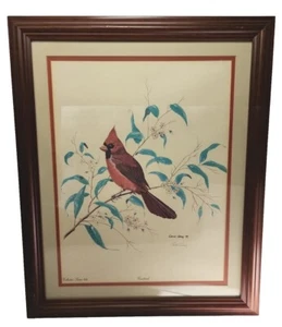 Red Cardinal Framed Art Print Hand Signed Gene Gray Collector Series XIII 22x18 - Picture 1 of 24