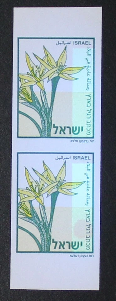 Israel Scott #1618 Par del Folleto #B39 2005 Flor Zehavit ¡Completamente Impecable! Foto 1 de 1