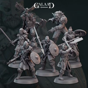 Norse Warriors Konvolut - Galaad Miniatures - Dungeons and Dragons - Bild 1 von 1