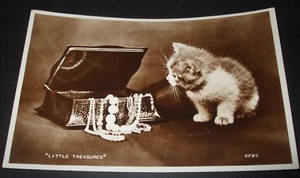 Antigua foto real gatos cómic gato gatito joyero pequeños tesoros rppc - Imagen 1 de 1