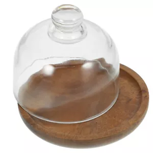 Dessert Display Dome Footed Cake Plate Dome Small Dessert Plate - Picture 1 of 12