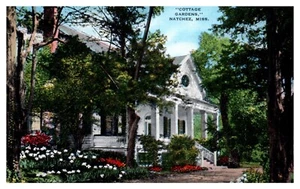 Natchez, MS - Cottage Gardens Linen Postcard Unposted Cottage Home - Picture 1 of 2
