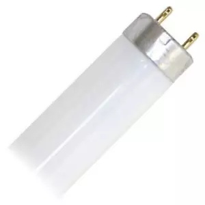 Sylvania 21610-4 Medium Bipin T8 Preheat Fluorescent Light Bulb (Case of 24) - Picture 1 of 1