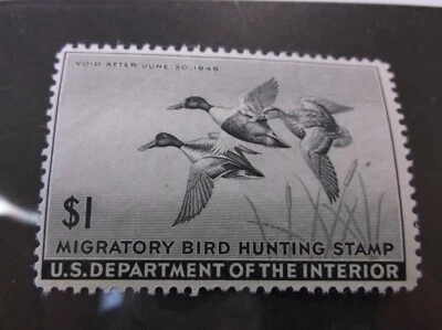 #RW12 Selo de Caça de Pássaros Migratórios Um Dólar Departamento de Interior dos EUA Cinza 1946 - Imagem 1 de 3