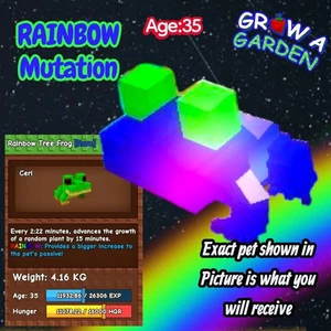 RAINBOW Tree Frog Pet. Age/Weight Shown In Photo. Grow A Garden. Same Day - Picture 1 of 1