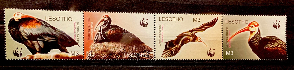 Lesotho,bald ibis S.C.#1336(a-d), WWF, MNH,Complete  strip of 4,issued in 2004 - Image 1 of 1