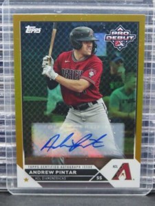 2023 Topps Pro Debut Andrew Pintar Gold Foil Auto Autograph #45/50 Diamondbacks