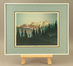 MOUNTAIN FOREST Mt. Washington II Silk Screen 16 X 20 Professionally Framed - Picture 1 of 9