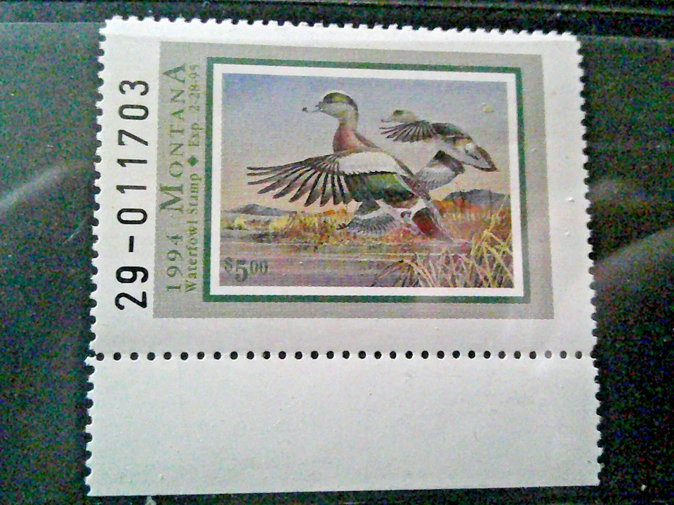 1994 Montana Waterfowl *WIDGEONS* Stamp XFMNH - Image 1 of 1