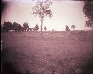ONE EARLY 1900s ANTIQUE GLASS NEGATIVE, NEWPORT, ME, "HAY FIELD HARVEST"-1 - Picture 1 of 2
