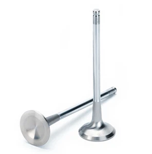 Supertech Audi/VW 2.5T FSI Inconel Exhaust Valve 28.00mm (std) Head Dia. - Set - Foto 1 di 1
