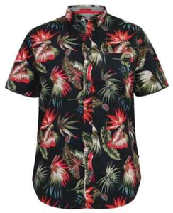 D555 Hawaiian AO Print Short Sleeve Button Down Collar Shirt - Picture 1 of 2