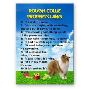 ROUGH COLLIE Eigentumsgesetze KÜHLSCHRANKMAGNET Nr. 1 Stahlgehäuse HUND - Bild 1 von 1