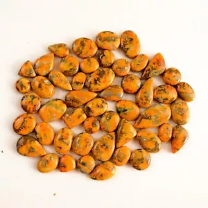 Lote de 49 piezas de cabujón de piedras preciosas de jaspe abejorro natural de 268 quilates 22x11-8x8 mm #13465 - Imagen 1 de 8