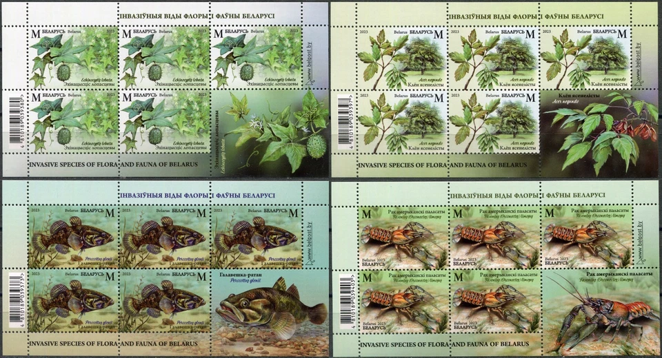 白俄罗斯 2023。 入侵植物种 (MNH OG **) 4 件套 M/S — 第 1/1 张图片