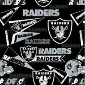 Handmade Valance or Curtain Panel Raiders Flag - Picture 1 of 8