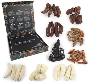 White Elephant Gifts Real Edible Flavored Insects Scorpion & 8 Assorted Bugs - Picture 1 of 10