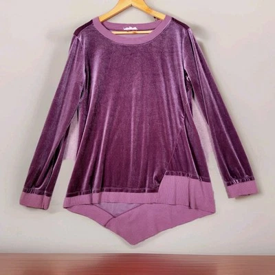 ANTHROPOLOGIE EASEL Top Women's Small Velvet Pullover Longsleeve Tunic Blouse - Image 1 of 4