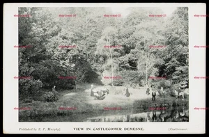 VIEW in CASTLECOMER DEMESNE Ireland Old Postcard T P Murphy - Picture 1 of 2