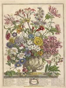 Vintage Robert Furber October Twelve Months of Flowers 9x12 Un Framed - Picture 1 of 1