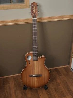 Guitarra eléctrica acústica Gruhn Versitar Thinline - tapa de cedro Foto 1 de 4