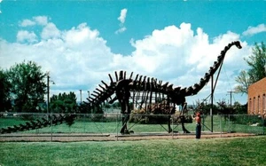 AK Diplodocus Dinosaurier Vernal Utah - Bild 1 von 2