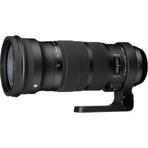 150-600mm 5-6.3 SIGMA SPORTS DG DN ZOOM LENS L MOUNT in FACTORY BOX & HOOD