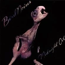 Bird Noises von Midnight Oil | CD | Zustand gut - Bild 1 von 2