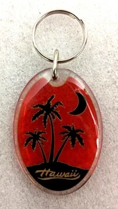 HAWAII Souvenir Lucite Keychain EUC FAST SHIPPER - Picture 1 of 3